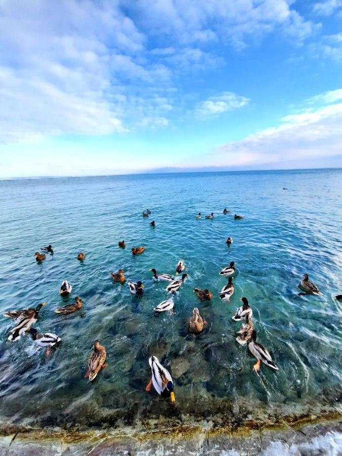 Harmónia Vendégház Balatonalmádi Extérieur photo